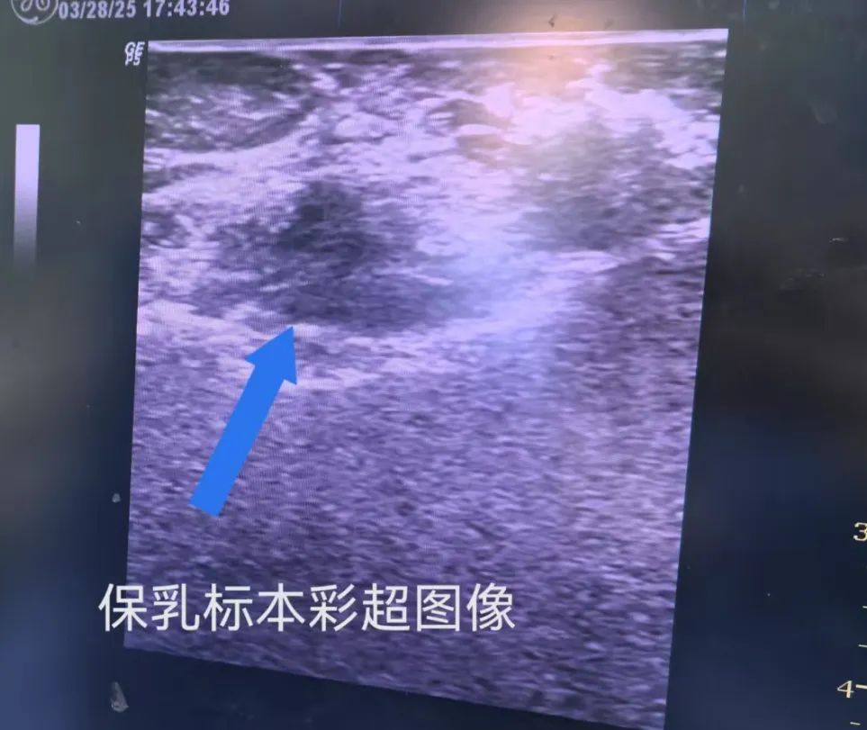 微信圖片_20250508100032.jpg